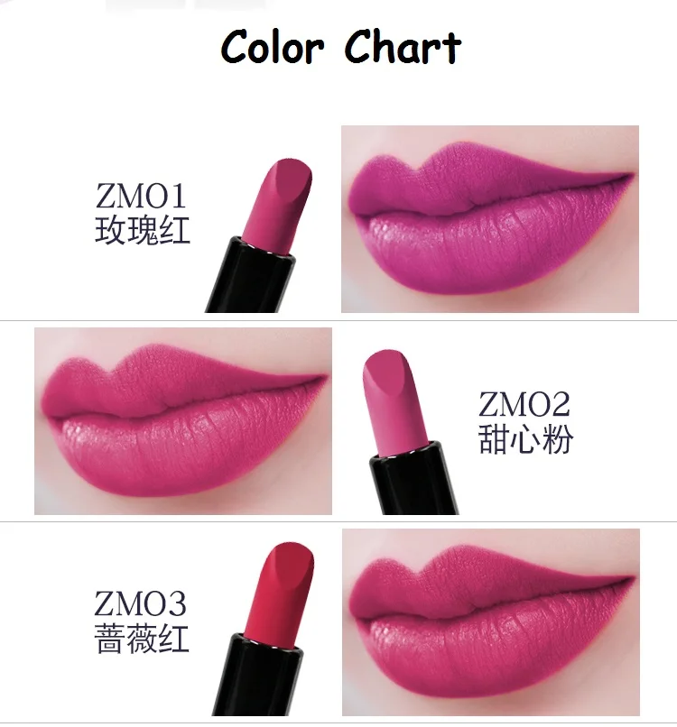 Custom logo Private Brand Name Color Matte Organic Good Quality High Pigment Long Lasting Lipstick