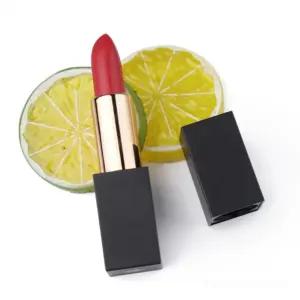 Private label matte lipstick 25-shade set in sleek black tubes, featuring waterproof, long-lasting formula for daily and party makeup.