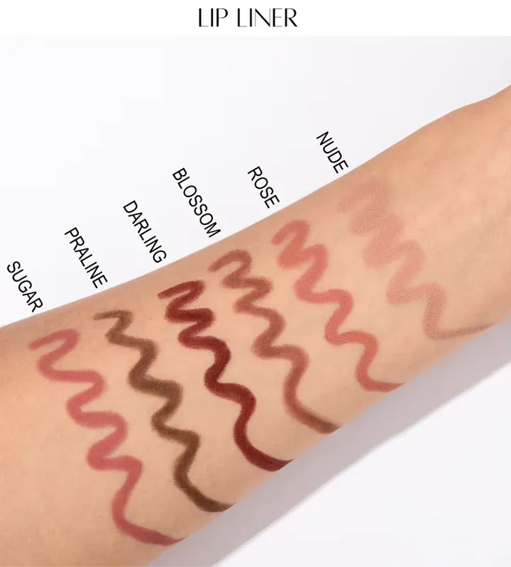 2-in-1 lip gloss and lip liner set: precise liner + matte liquid lipstick